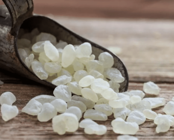 معجون ومربي المستكة اليوناني 600 جرام - Image 2